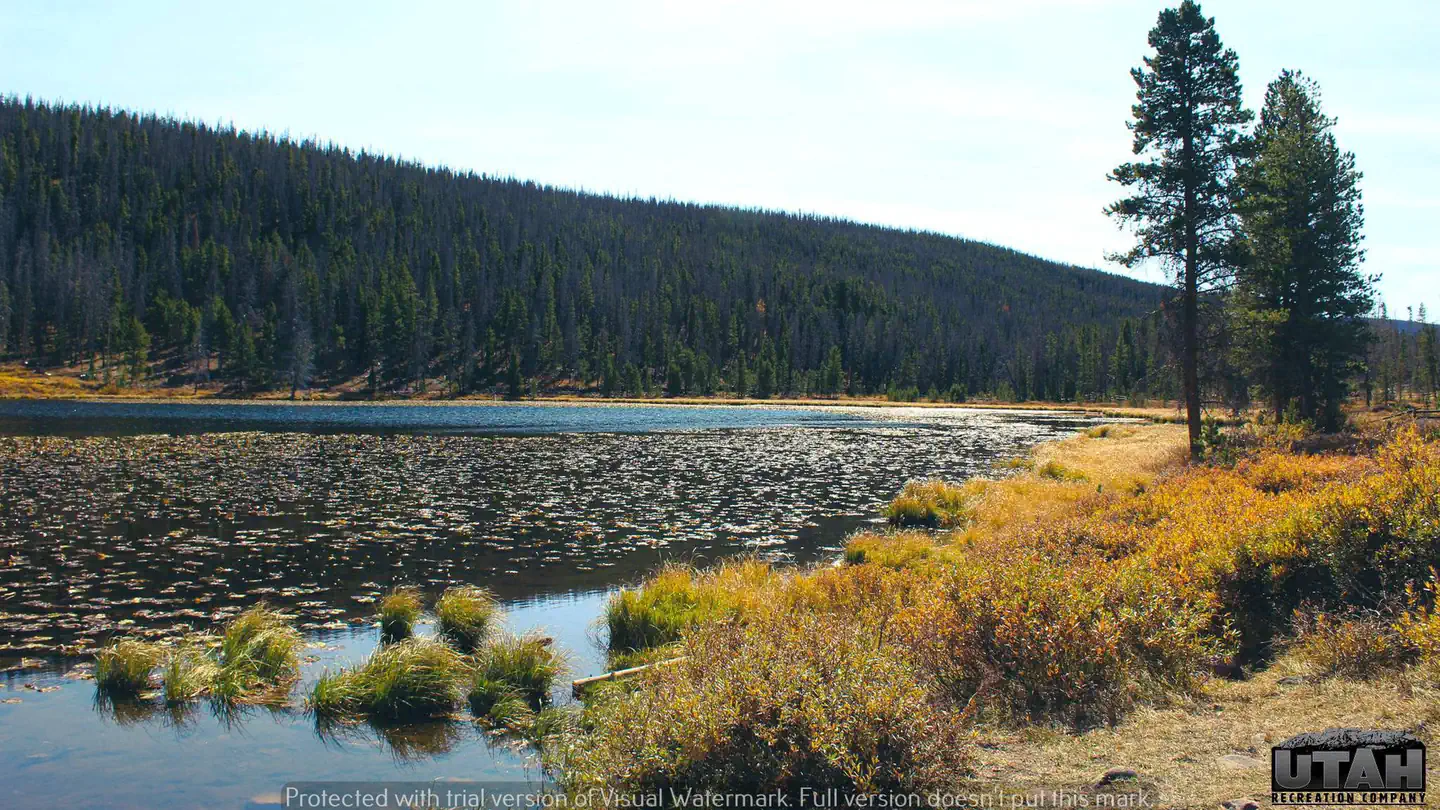 BRIDGER LAKE CAMPGROUND photo