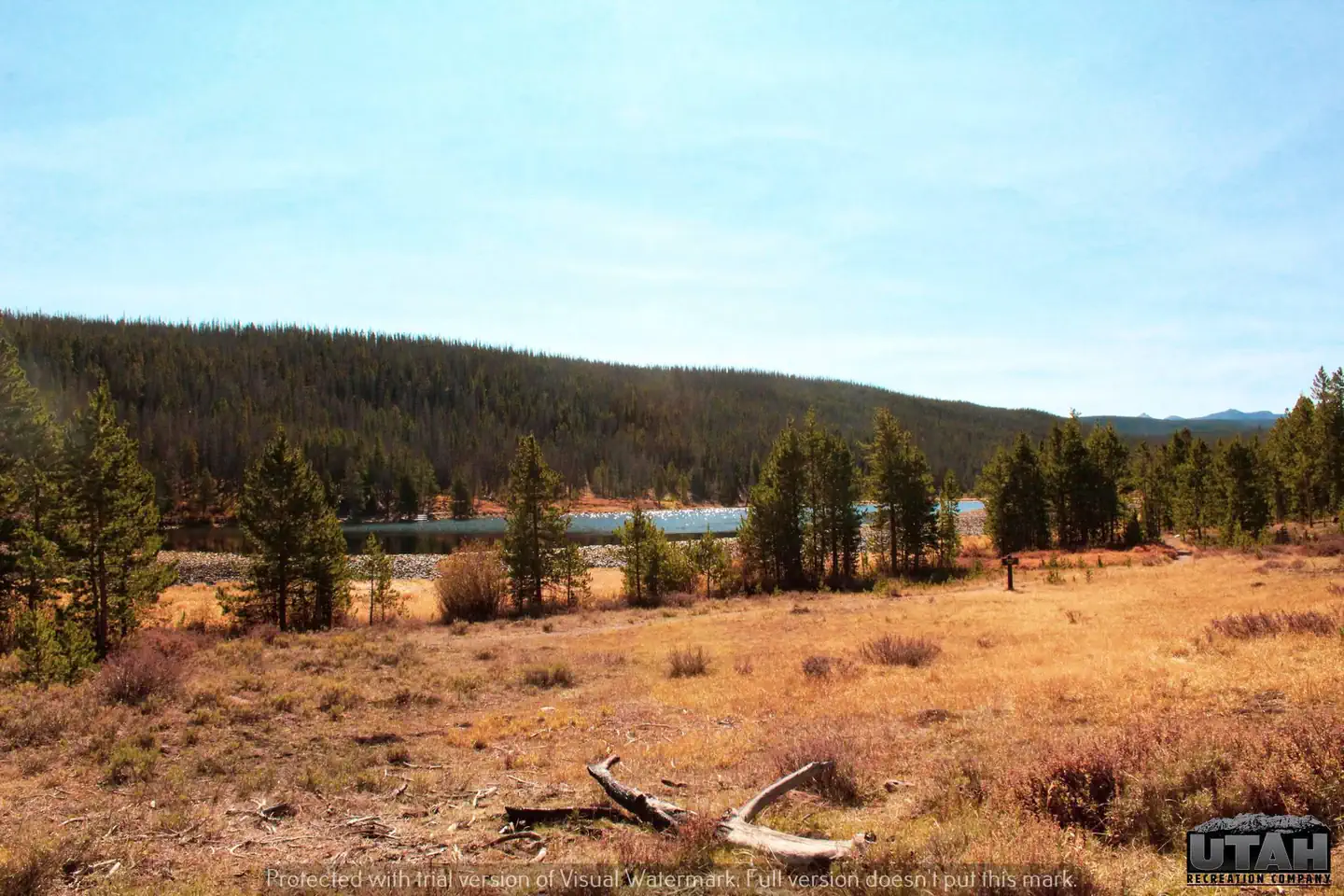 BRIDGER LAKE CAMPGROUND photo 2