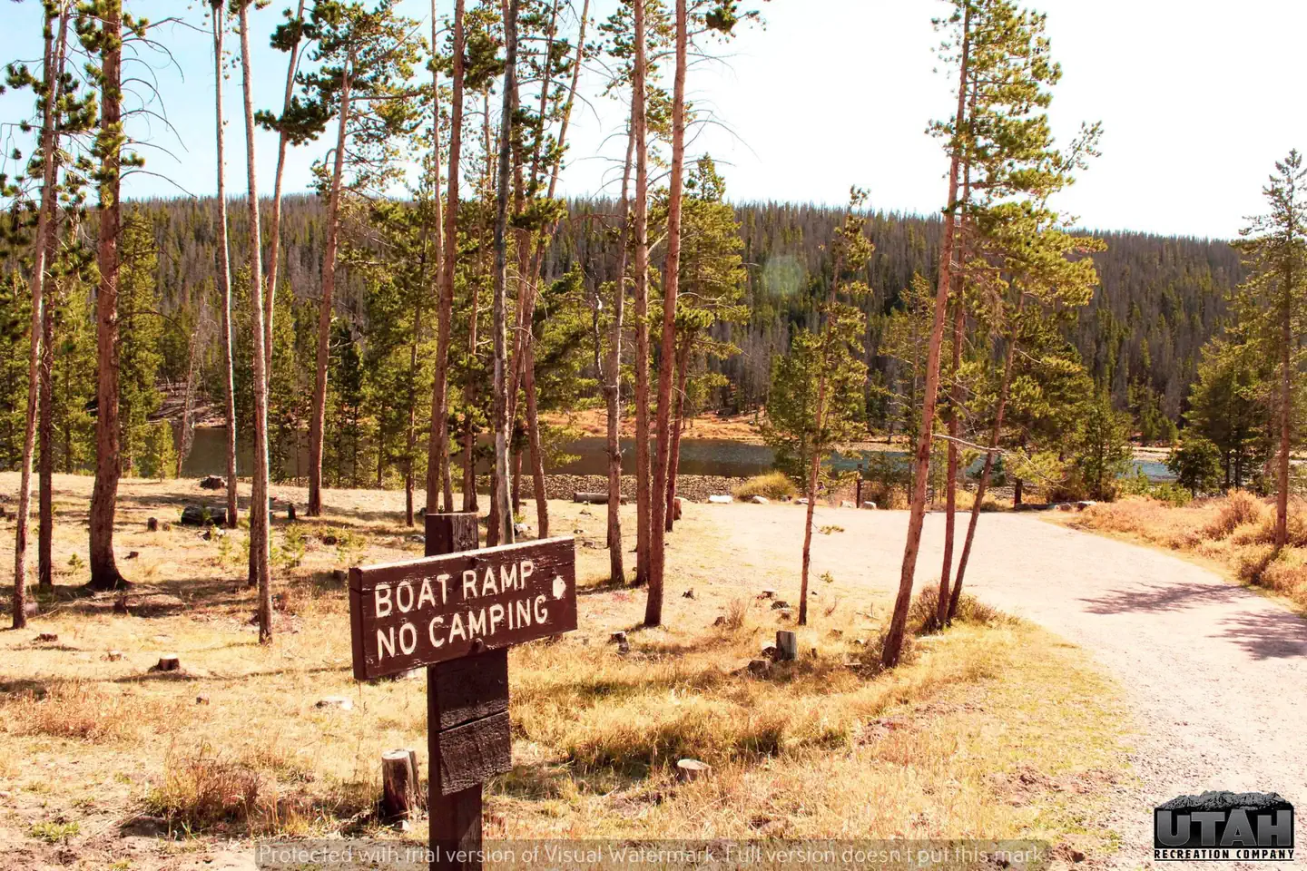 BRIDGER LAKE CAMPGROUND photo 3