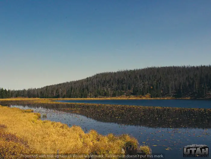 BRIDGER LAKE CAMPGROUND photo 5