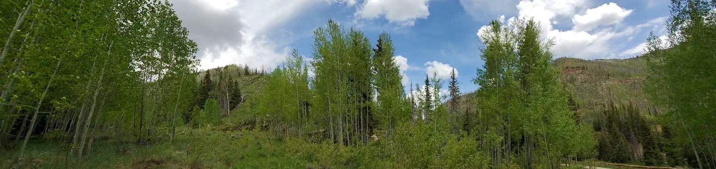 BRIDGES CAMPGROUND photo