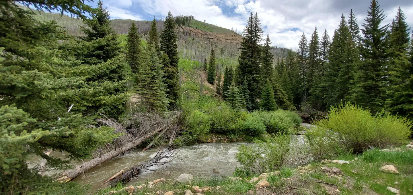 BRIDGES CAMPGROUND photo 2