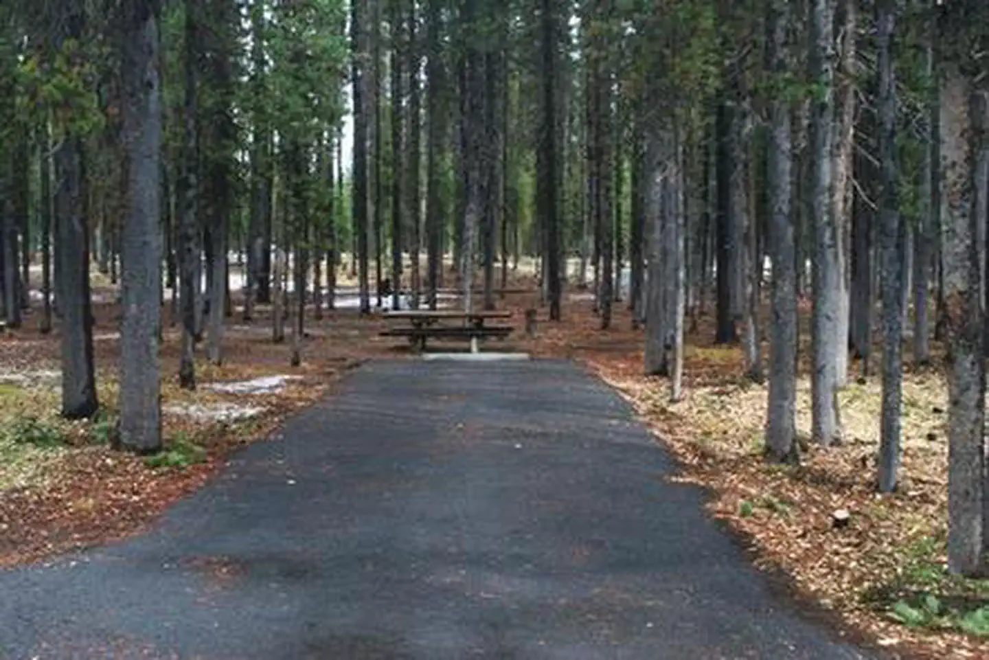 BROKEN ARROW CAMPGROUND photo 2