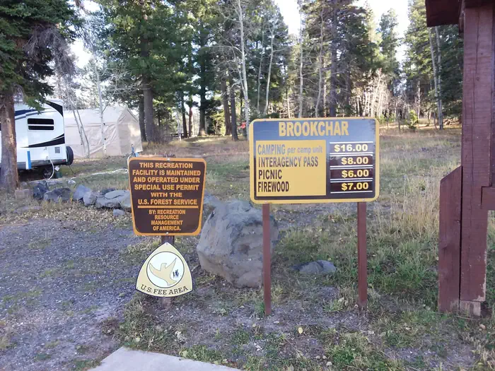 BROOKCHAR photo 4