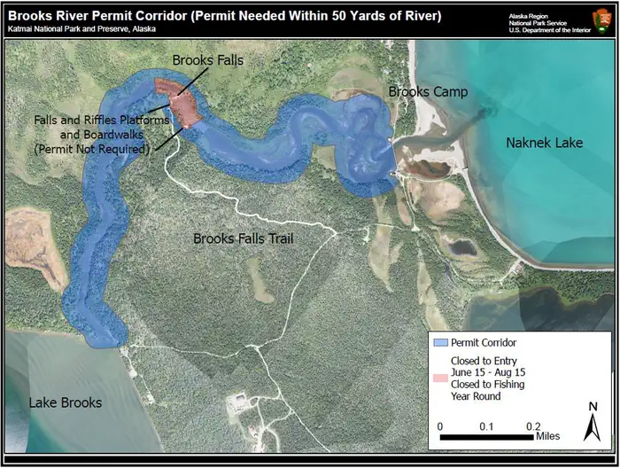 Brooks River Corridor Group 7-Day Permits photo 3