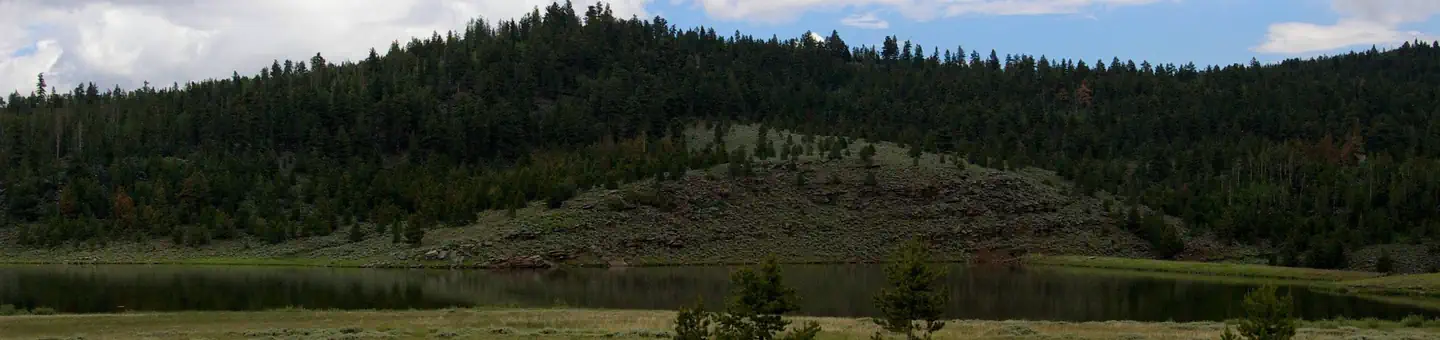 BROWNE LAKE GROUP SITES photo