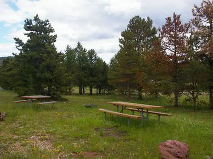 BROWNE LAKE GROUP SITES photo 4