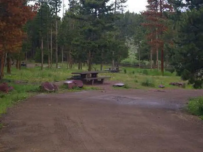 BROWNE LAKE GROUP SITES photo 5