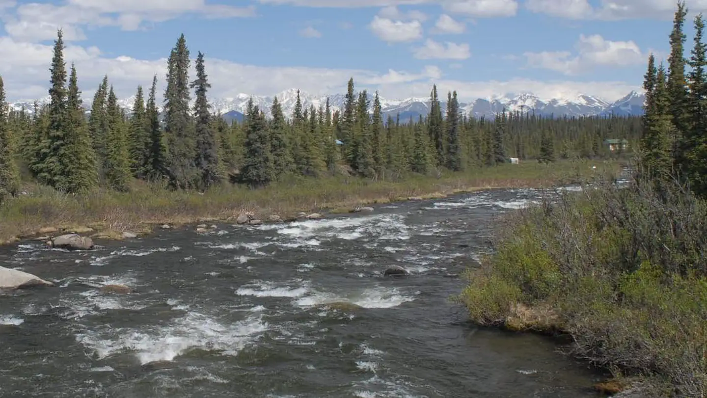 Brushkana Creek Campground photo