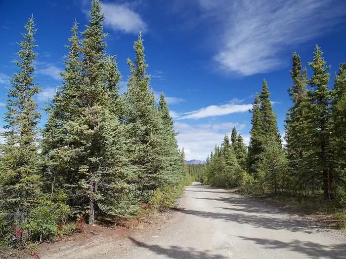 Brushkana Creek Campground photo 3