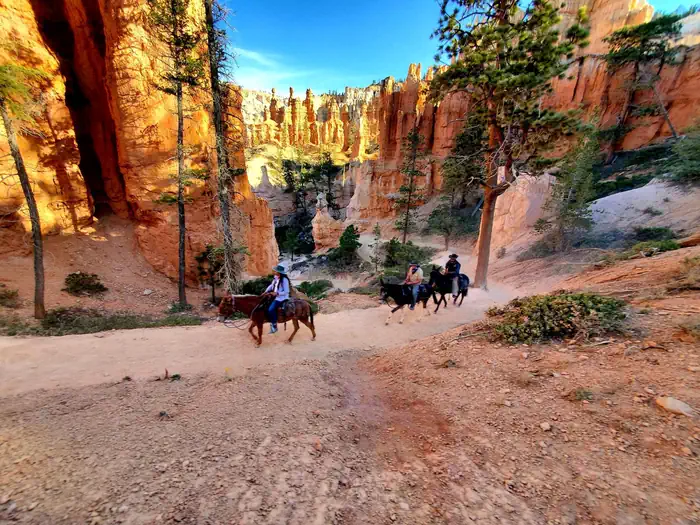 Bryce Canyon National Park Private Horse Reservations photo 2