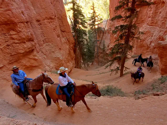 Bryce Canyon National Park Private Horse Reservations photo 3