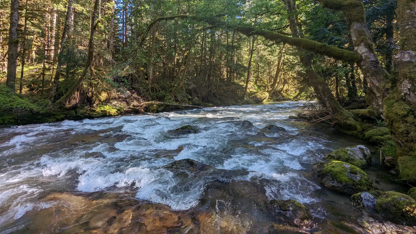 BUCK CREEK CAMPGROUND photo