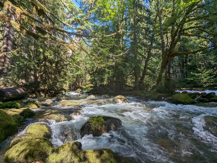 BUCK CREEK CAMPGROUND photo 2