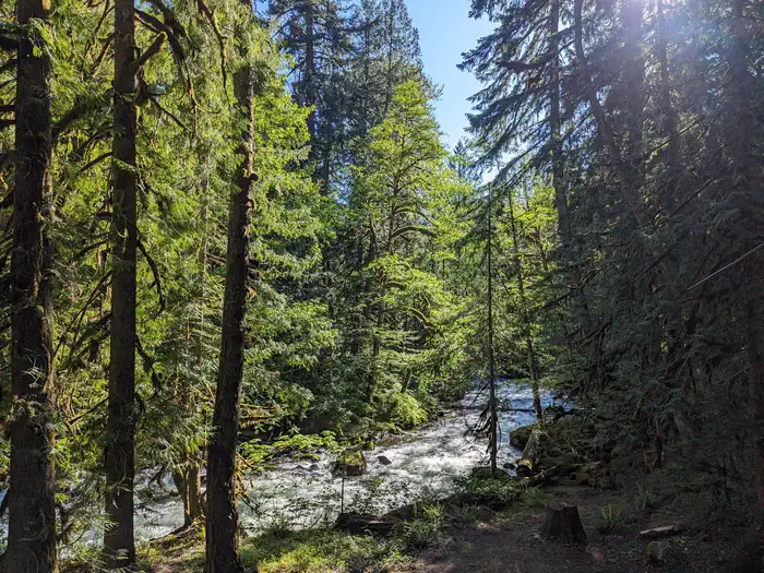 BUCK CREEK CAMPGROUND photo 3