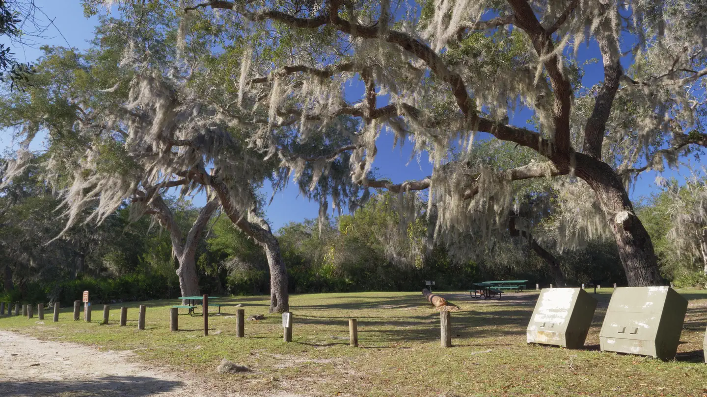 BUCK LAKE GROUP CAMPGROUND photo