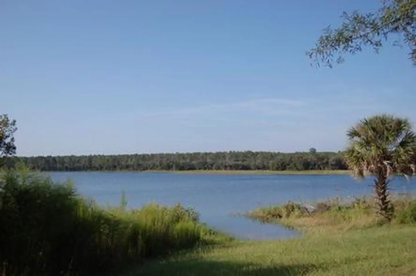 BUCK LAKE GROUP CAMPGROUND photo 3