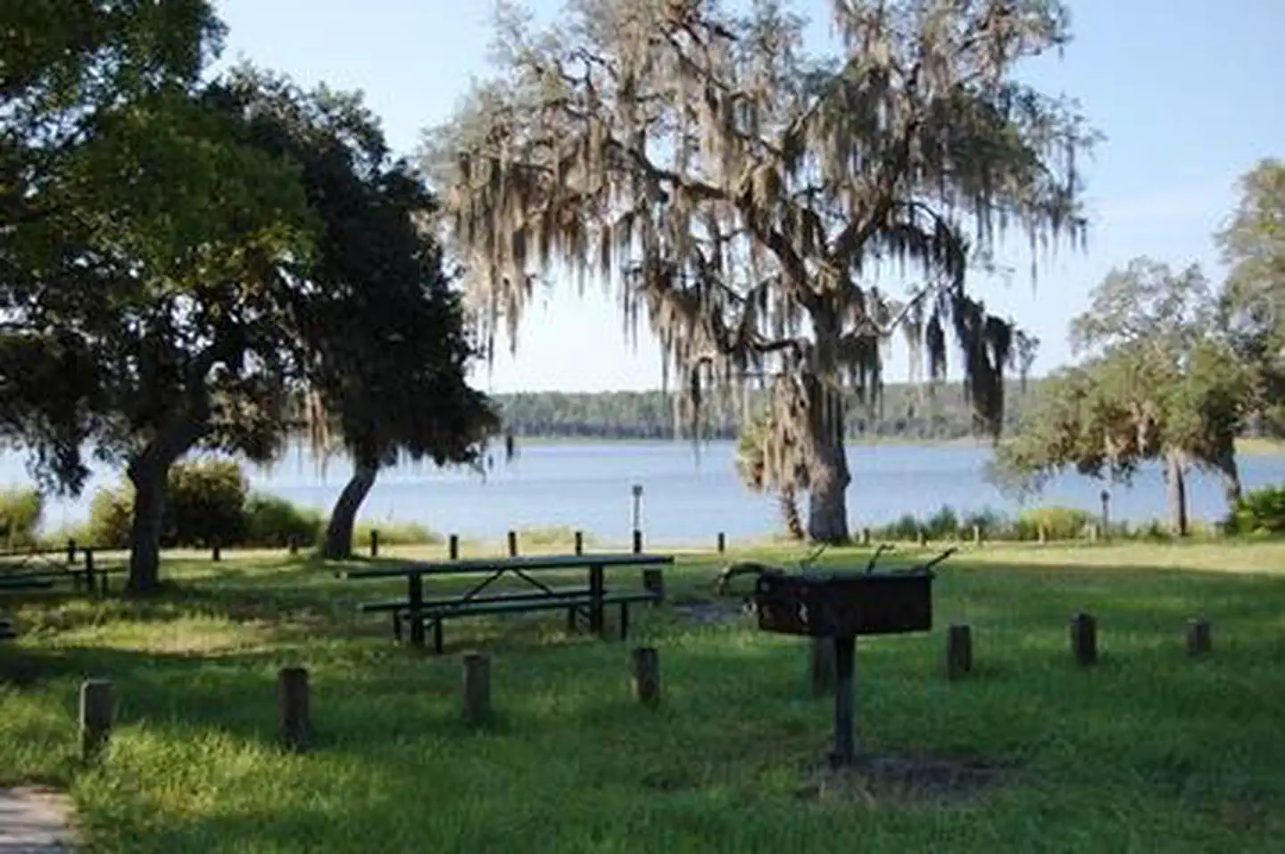 BUCK LAKE GROUP CAMPGROUND photo 4