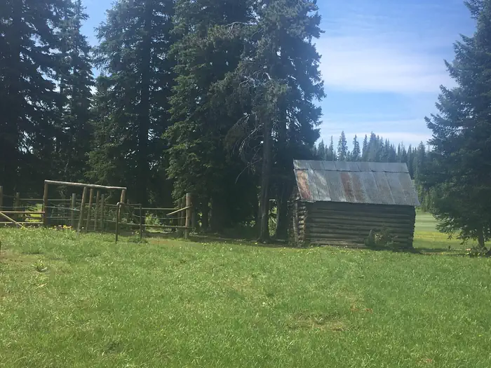 BUCK PARK CABIN photo 3