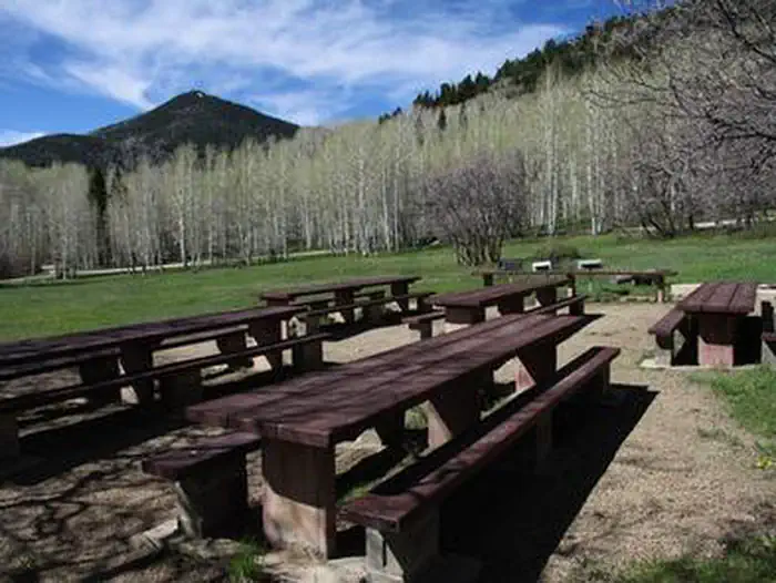 BUCKBOARD photo 3