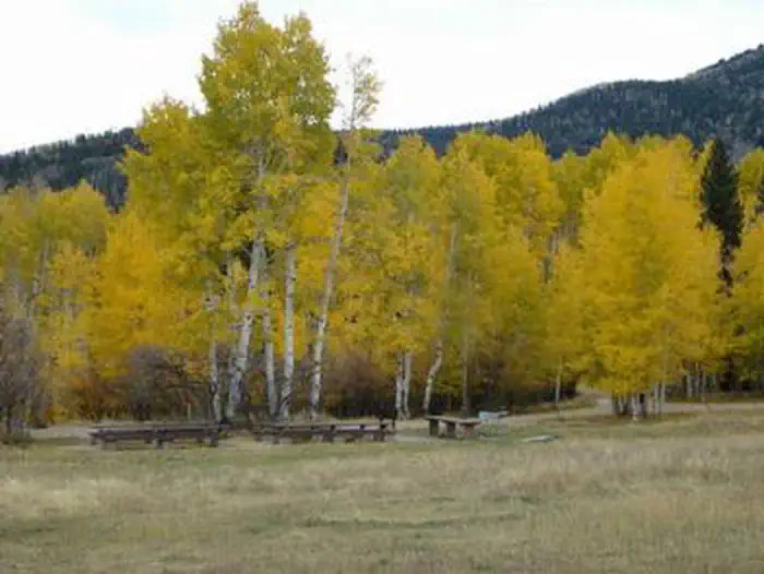 BUCKBOARD photo 4