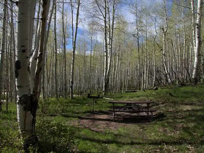 BUCKBOARD photo 5
