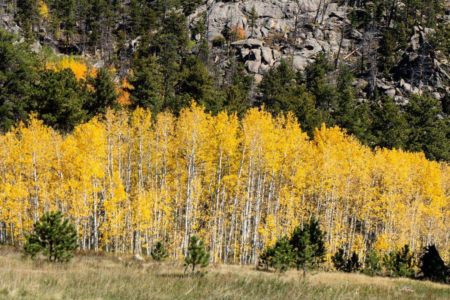 Buckhorn Ranger Station photo 4