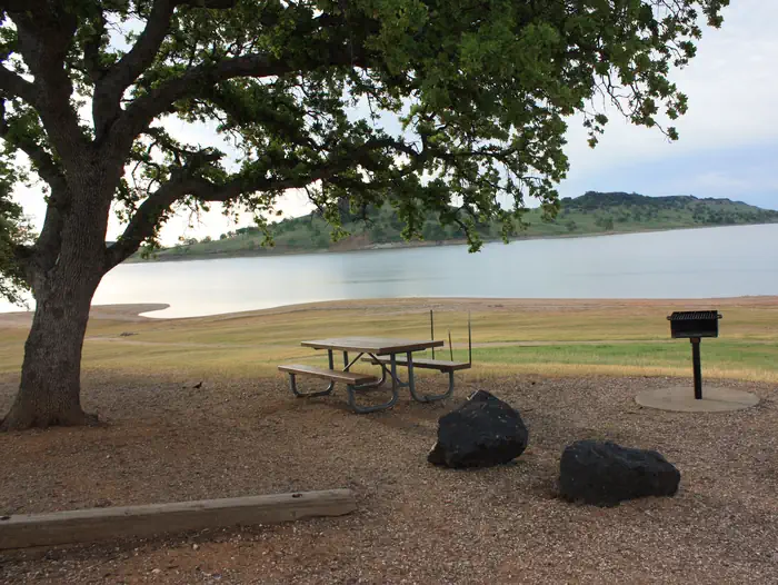 BUCKHORN photo 3