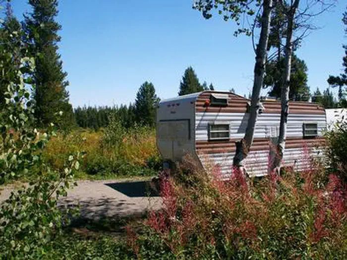 BUFFALO (IDAHO) photo 2