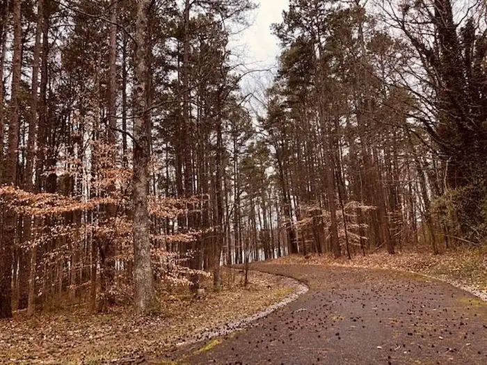 BUFFALO PARK photo 4