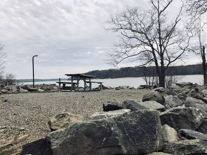BUFFALO PARK photo 5