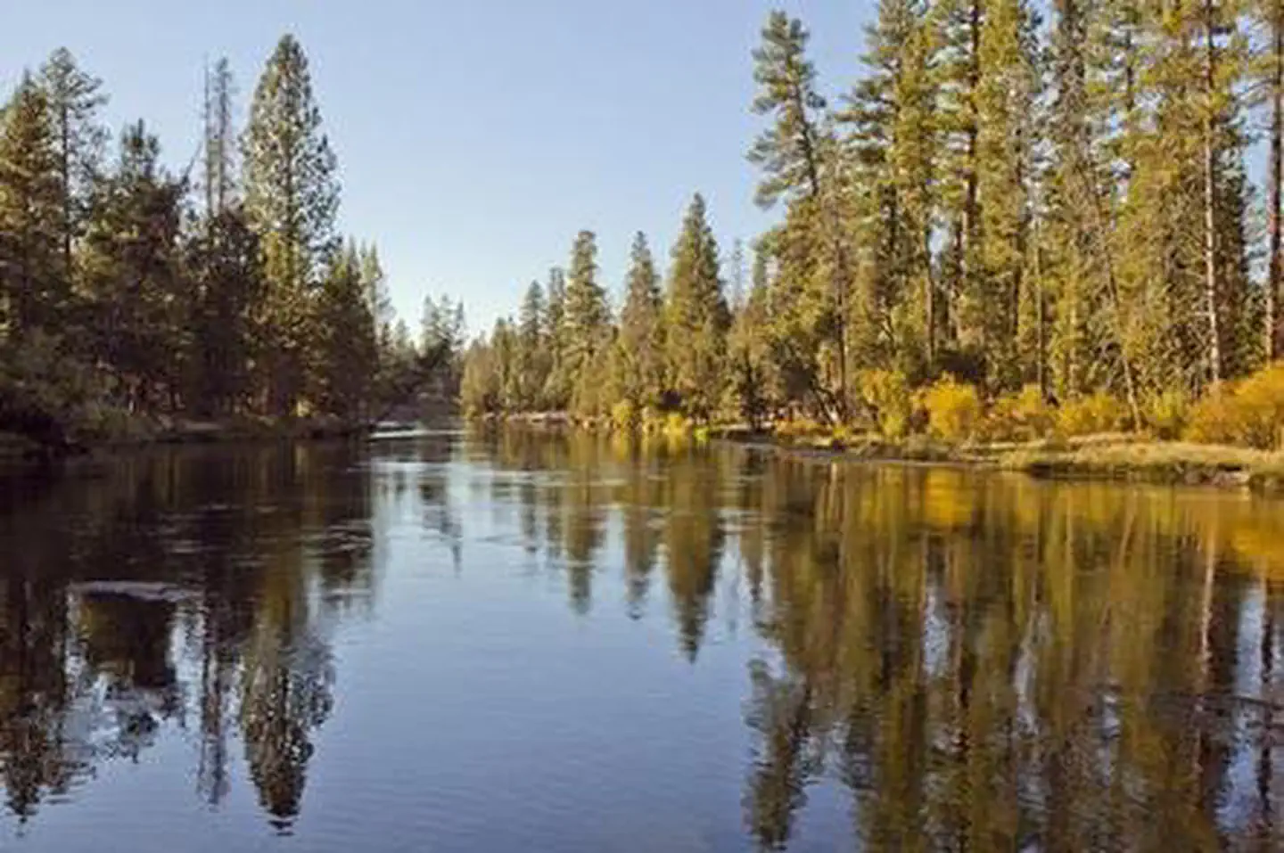 BULL BEND CAMPGROUND photo 3