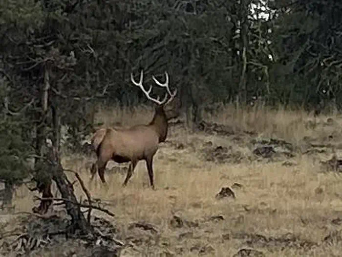 Bull Prairie Campground (OR) photo 4