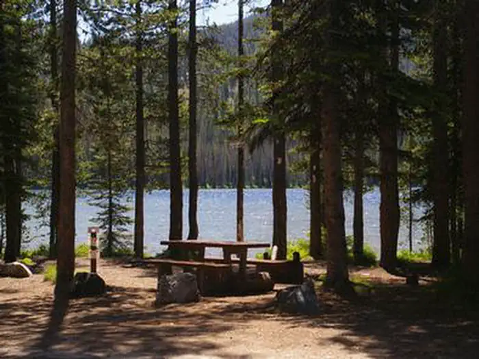 BULL TROUT photo 5
