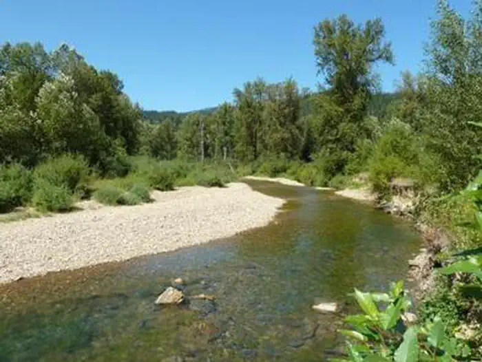 BUMBLEBEE CAMPGROUND photo 2