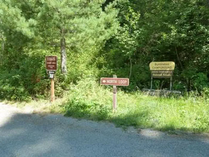 BUMBLEBEE CAMPGROUND photo 4