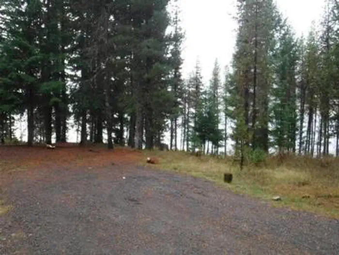 BUNKER HILL CAMPGROUND photo 5