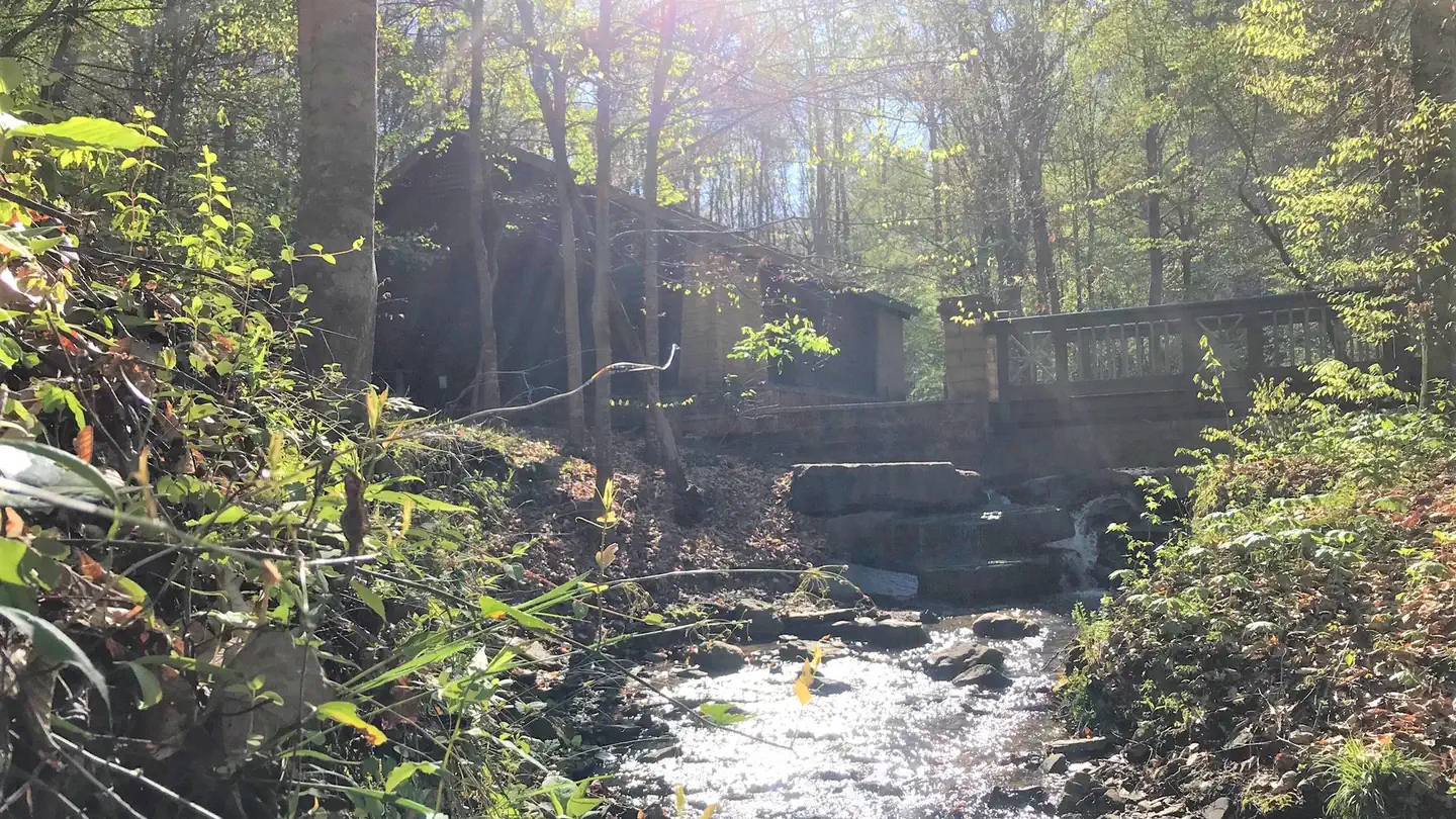 BURCHFIELD BRANCH PARK photo