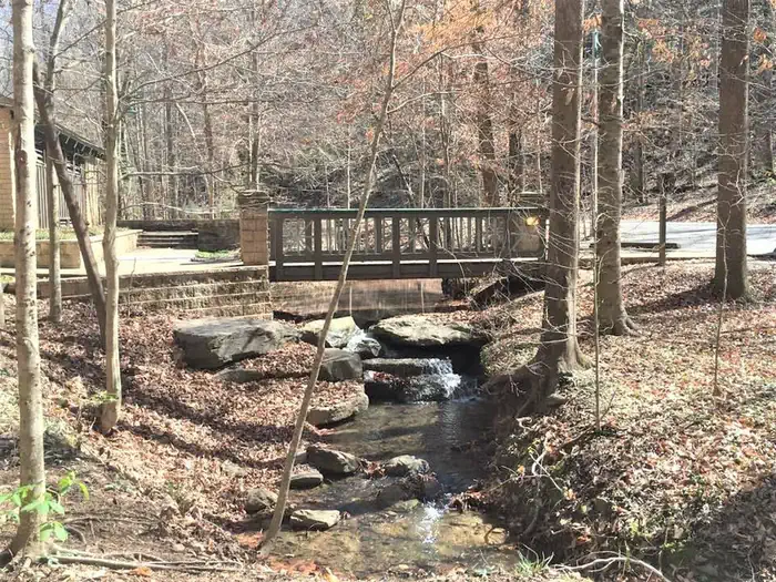 BURCHFIELD BRANCH PARK photo 2