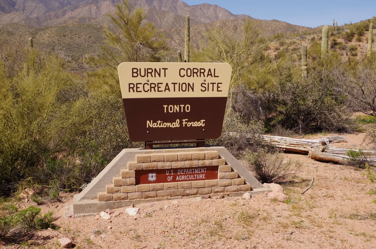 Burnt Corral Campground photo 5