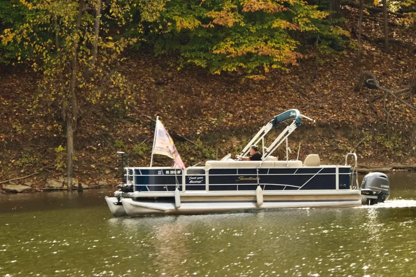 BUSH RECREATION AREA photo 3