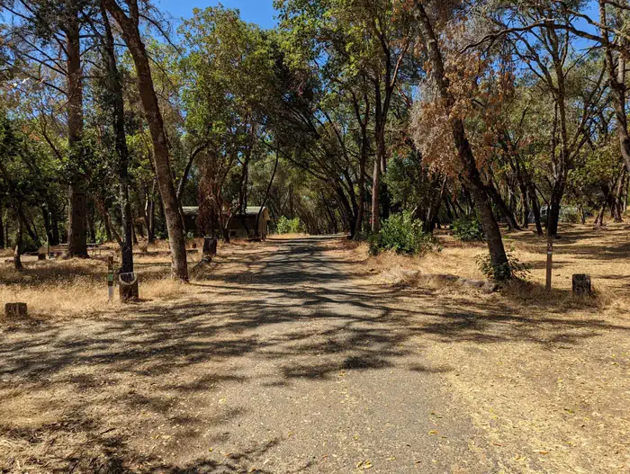 BUSHAY RECREATION AREA photo 5