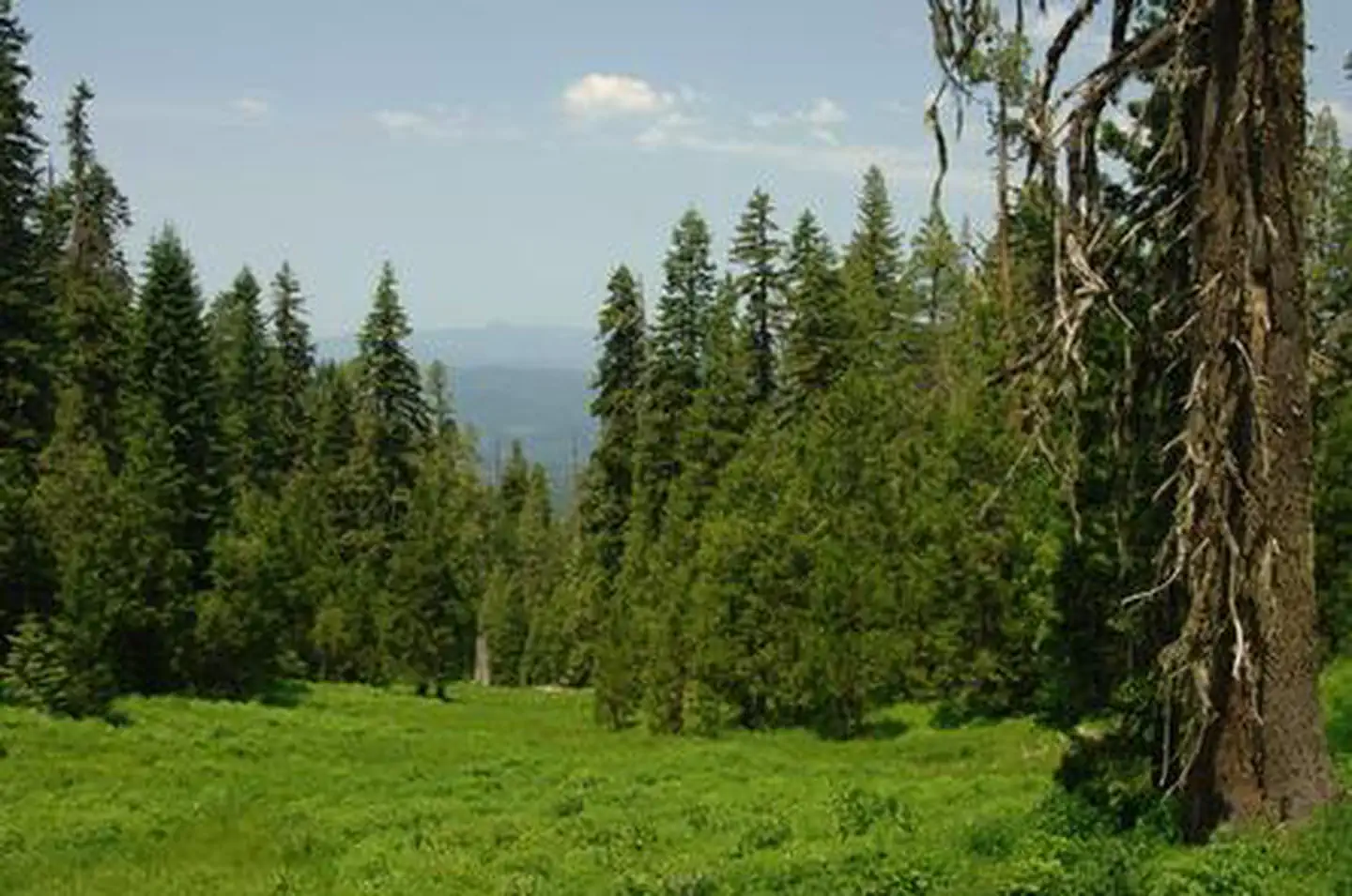 BUTLER BUTTE CABIN photo 4