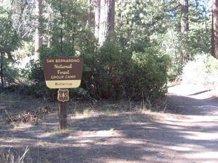BUTTERCUP GROUP CAMP photo 2