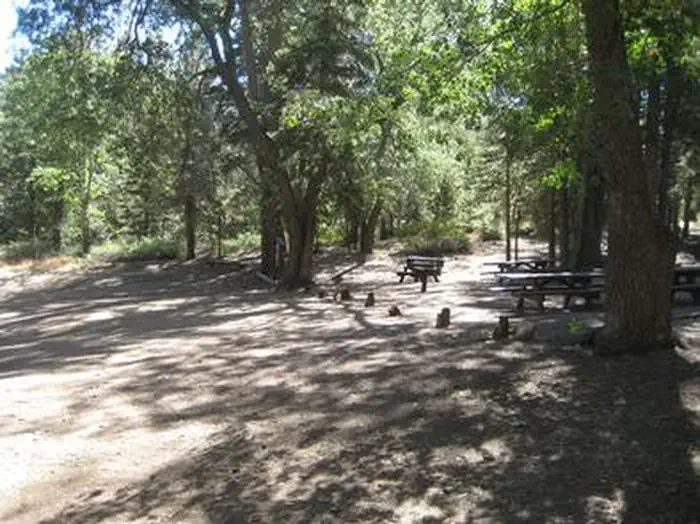 BUTTERCUP GROUP CAMP photo 4