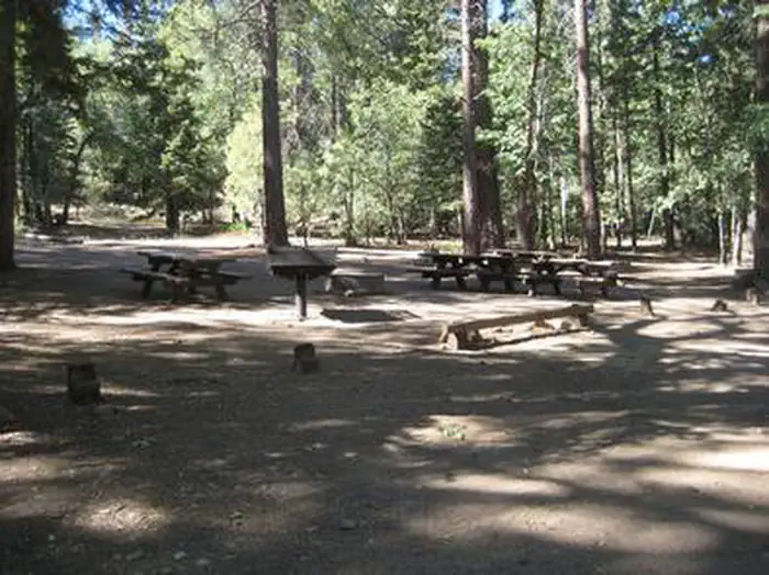 BUTTERCUP GROUP CAMP photo 5