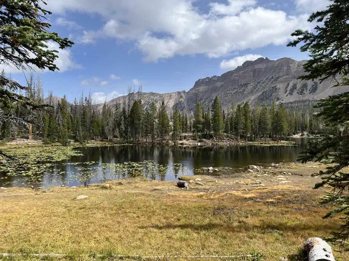 Butterfly Campground photo 3