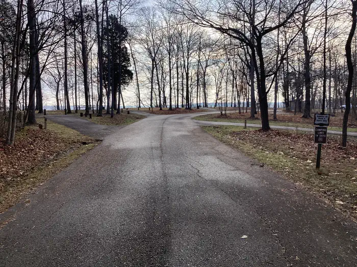 Buzzard Roost Campground photo