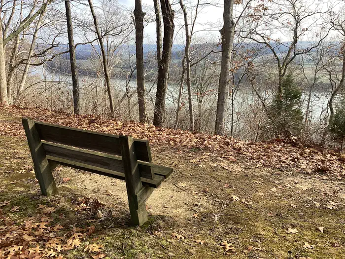 Buzzard Roost Campground photo 3