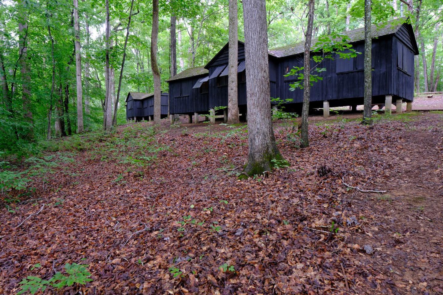 Cabin Camp 3 photo 3